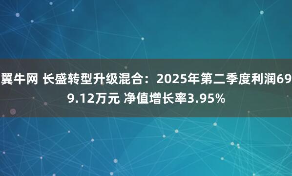 翼牛网 长盛转型升级混合：2025年第二季度利润699.12万元 净值增长率3.95%
