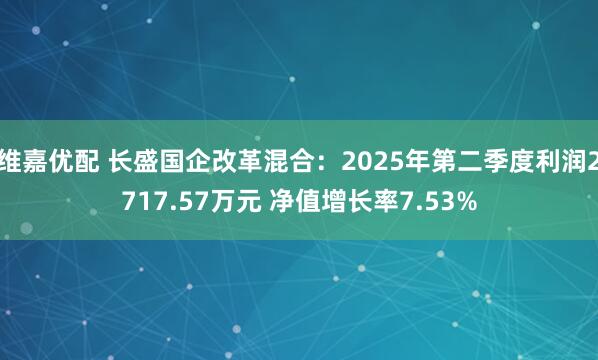 维嘉优配 长盛国企改革混合：2025年第二季度利润2717.57万元 净值增长率7.53%