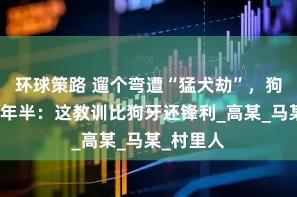 环球策路 遛个弯遭“猛犬劫”，狗主人蹲六年半：这教训比狗牙还锋利_高某_马某_村里人
