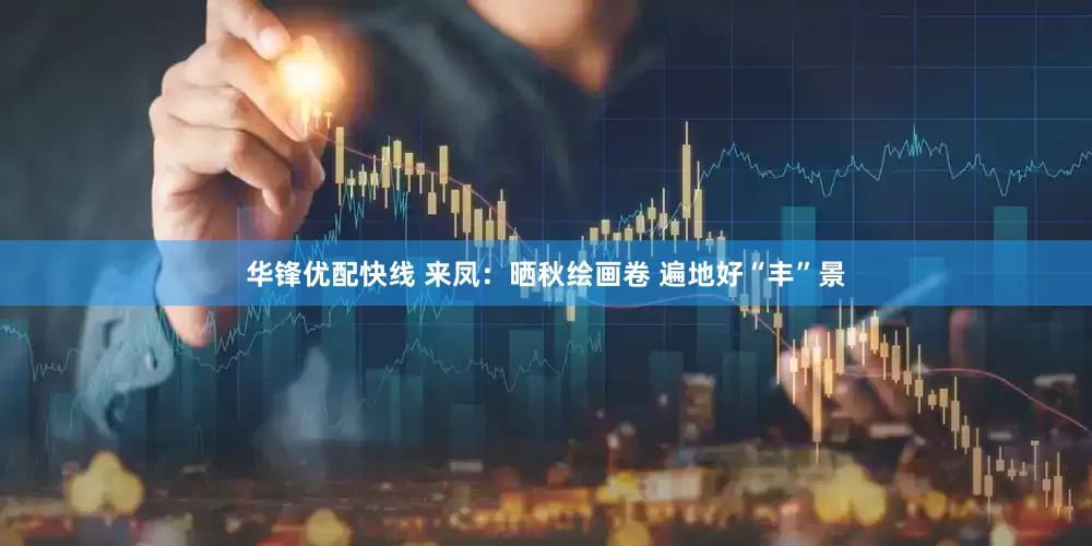 华锋优配快线 来凤：晒秋绘画卷 遍地好“丰”景